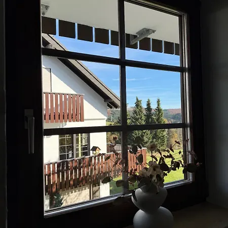 Pistenblick Apartment *